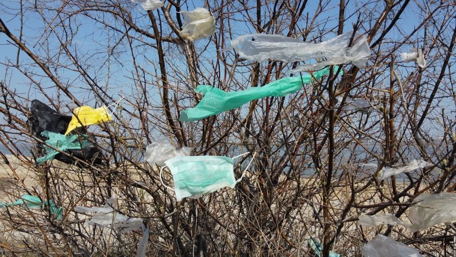 Plastic Bags recycling facts